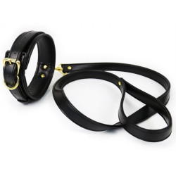 Generique Collier et Laisse Lighty Noir
